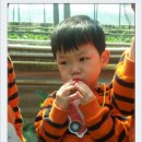 거송농장 이미지