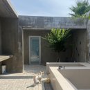 제주애단비 마주 이미지