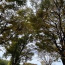 신북골프연습장 이미지