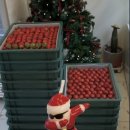 대덕농장2 | 당진 수변공원 벚꽃길 보며 커피 맛볼 수 있는 카페 레이키 확장 이전