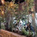 만두 요리가되다 이미지