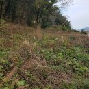 텃밭공인중개사사무소 이미지