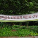 청운민박