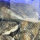 택이네조개전골 안성점 이미지