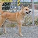 사옥축산 이미지