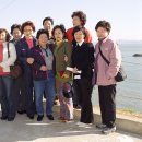 고달할머니 Daum카페