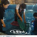 다원곤충농장 이미지