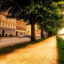 도시와자동차 이미지