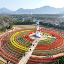 2025 섬 튤립축제 이미지