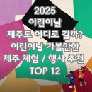 어린이날 특별공연-인형극 [손 없는 색시] | [4월 25일 업데이트] 2025 제주 어린이날, 아이와 함께 가볼 만한 체험·행사 추천 TOP 16