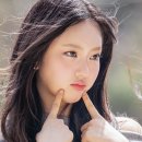 이솔 이미지