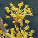 산업로1-3 이미지