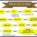 아이스토리안경콘텍트 이미지