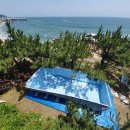 영덕바닷가솔밭펜션 이미지