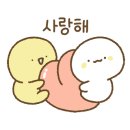 매일상회 이미지