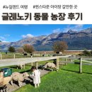 덕현목장 4농장 | 뉴질랜드 퀸스타운 근교, 글레노키 동물 농장 아이랑 솔직 후기