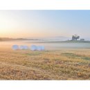 안성목장 이미지