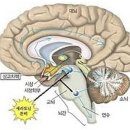 스포짐 가양점 이미지