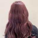 쏘이살롱