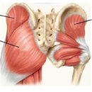 다사랑연합의원 이미지