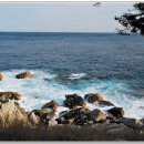 달빛바다 1 Daum카페