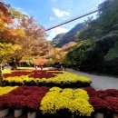 강천산군립공원(현수교) 이미지