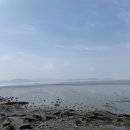 충남서산집