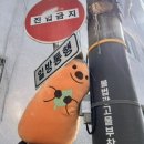 평화로운내과의원 | 갑작스러운 목 이물감 ㅠㅠ 망원내과에서 갑상선 초음파 검사받은 후기