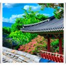 명곡서원 | {대구 놀거리} 달성도동서원. 배롱나무 명소, 세계문화유산, 한국 서원 문화의 명소에서 인생샷