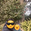 남원읍-53 이미지