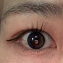 렌즈랑 | 원데이 렌즈 추천 | 렌즈랑 플래닛 원데이 스페이스 그레이 후기