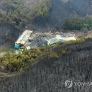 함평축구장 헤럴드경제