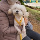 팝애니랩 이미지