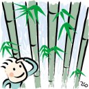 로뎀나무 이미지