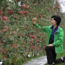 내고향본가 이미지