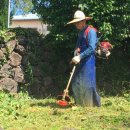 주생농장 이미지