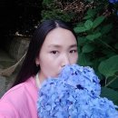 미암농장 네이버블로그