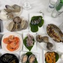 선일회수산 | 충남 홍성남당항대하축제 가을제철 대하 선일회수산 재방문 후기 광어는 흙맛