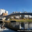 벚꽃길13 | 햄스트링 부상 딛고 1주 만에 복귀 | 벚꽃길 10km 완주 후기