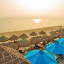 정보없음 이미지