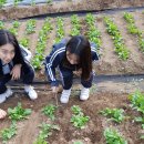 흥성농장 이미지