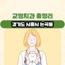 이선수치과의원 | 경기도 시흥시 논곡동 교정치과 총정리