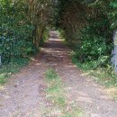 한양농원 이미지