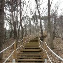 한아름목장 | < 도전4 > 화순 만연산