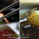 명문수산 이미지
