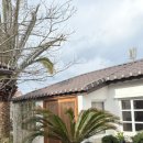 애월숲에101 이미지