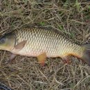 연락수로 이미지