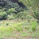 아침농장 이미지