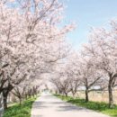 만경강 사수정 이미지