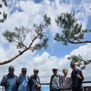 목동 핫플 용왕산 스카이워크(skywalk)-1 이미지